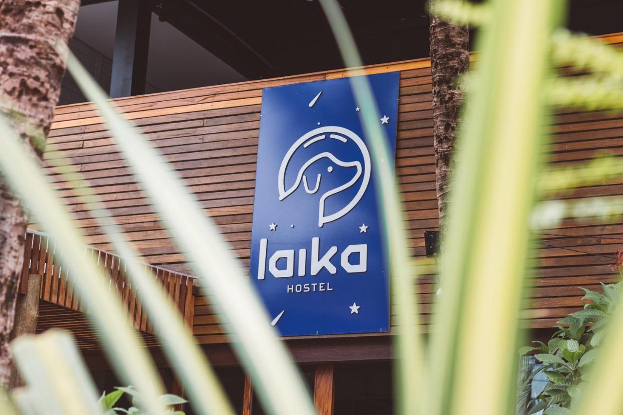 Laika Hostel Camburi  Exteriér fotografie